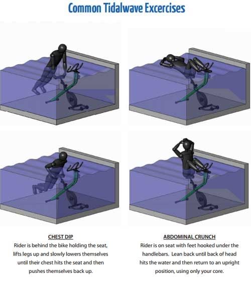 Common Exercises 1