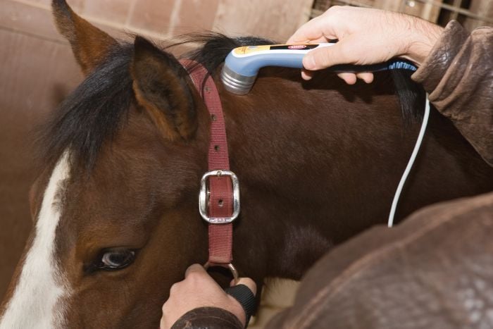 Image 1 of Chattanooga Intelect Vet Laser Therapy Module