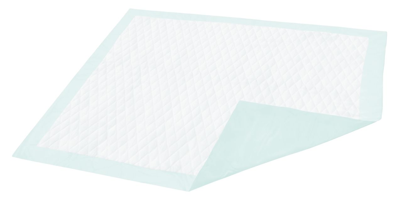 Disposable Underpad