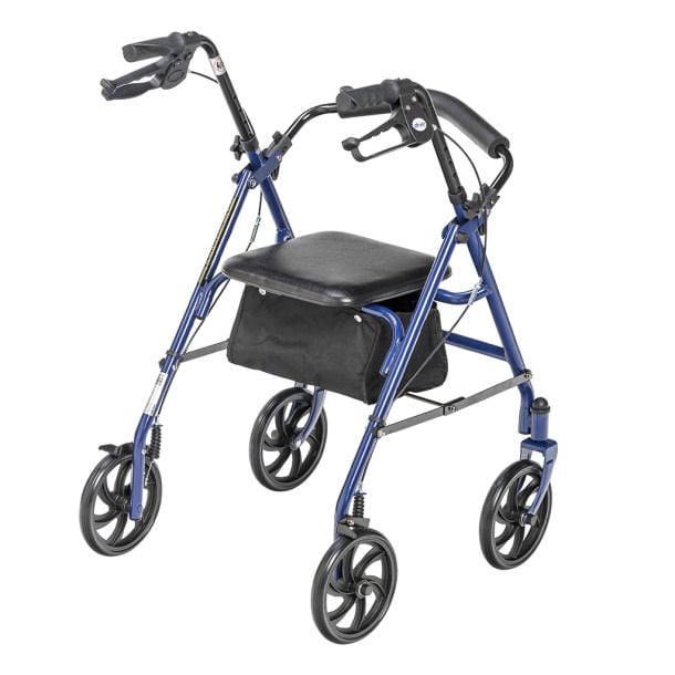 Rear View of Durable Rollator, Blue Frame