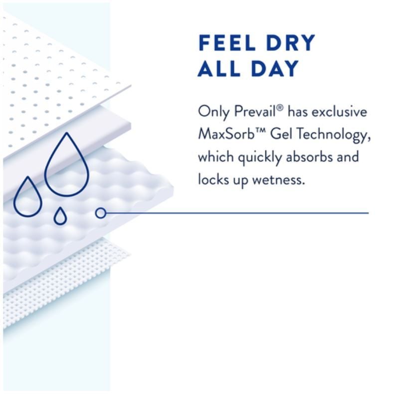 MaxSorb Infographic
