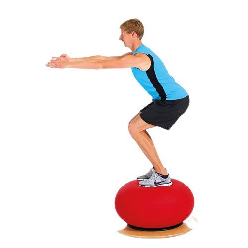 Image 3 of Togu Dynaswing Balance Ball