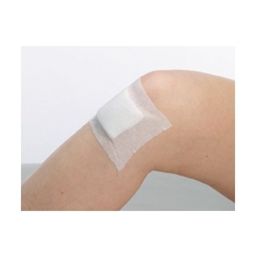 Econolux Gauze Sponge secured with Omnifix Tape