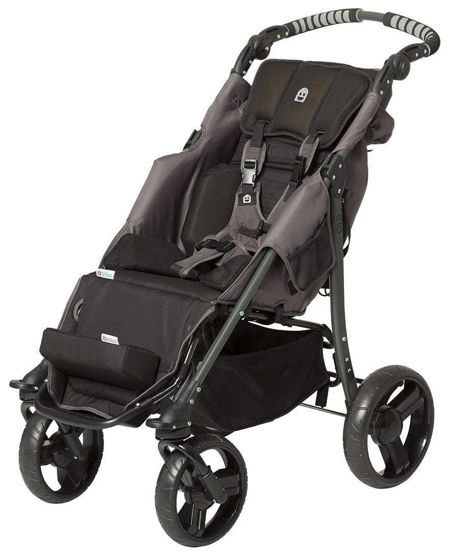 Stroller without the canopy