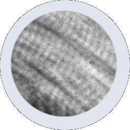 Fiber Dressing