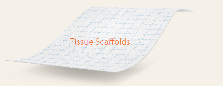 Tissue Scafolds