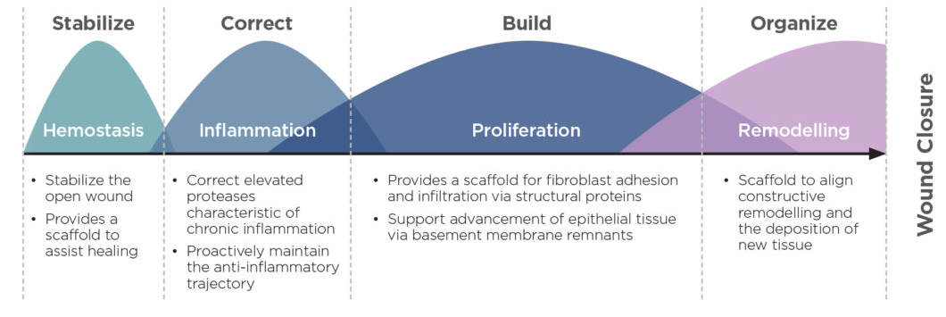 Informational Chart