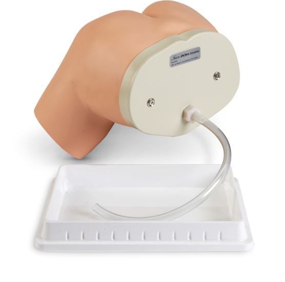 Image 2 of Nasco Life Form Enema Administration Simulator