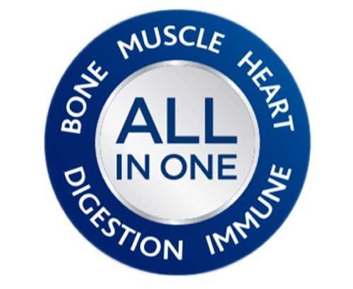 All In One Logo