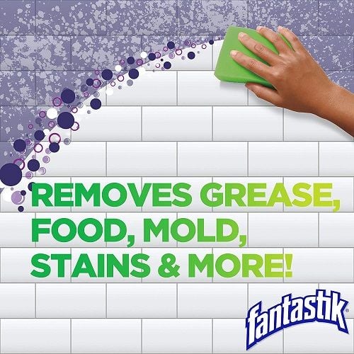 Fantastik "Removes grease, food, mold, stains & more!"