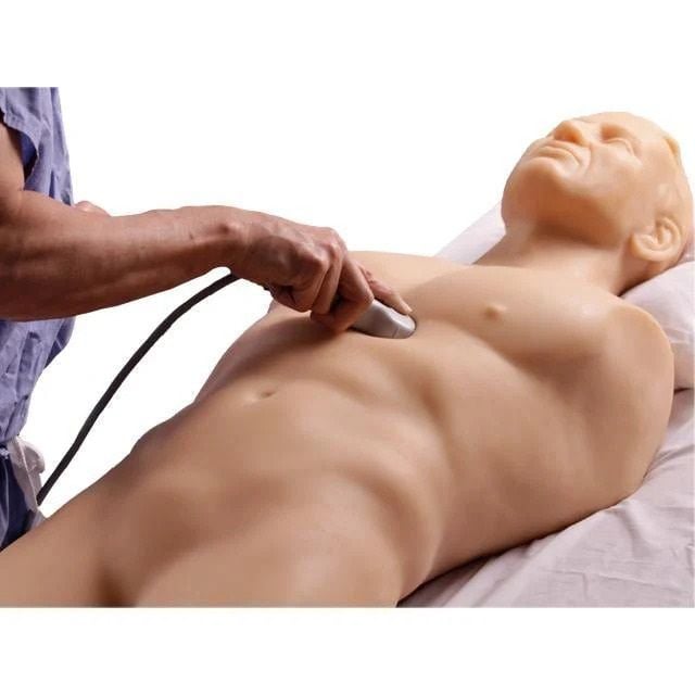 Transthoracic Only FAST Exam Model