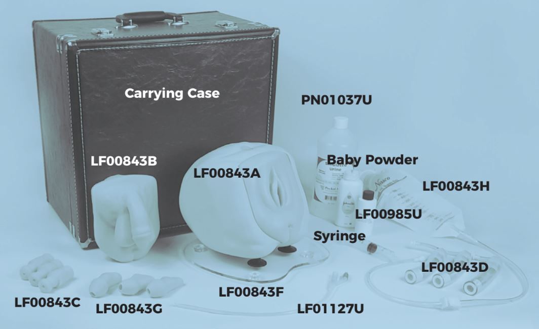 Image 2 of Life/form Male/Female Catheterization Simulator & Replacement Parts