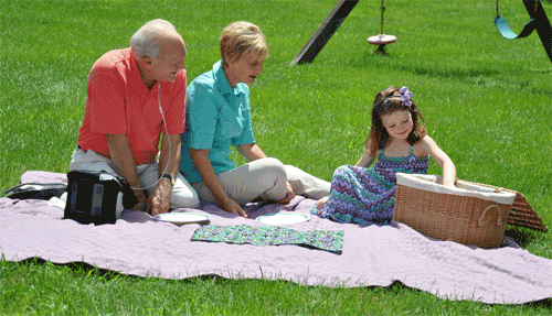 Family Picnic