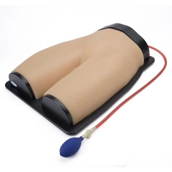 Femoral Vascular Access and Regional Anesthesia Model