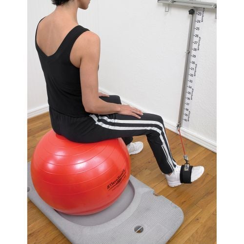 Image 3 of Rehab and Wellness Station