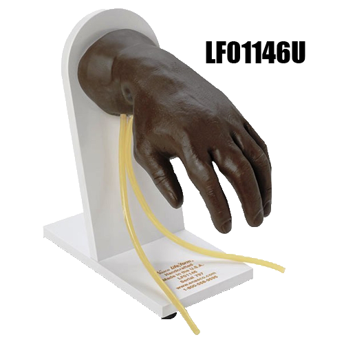 Image 5 of Advanced IV Models Life/Form
