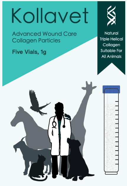 Image 1 of Kollavet Advanced Wound Care Collagen Particles and Sheets