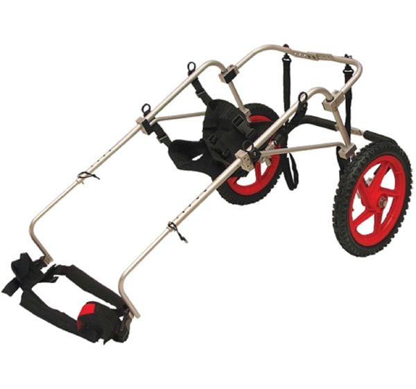 Image 3 of Best Friend Mobility Dog Wheelchair