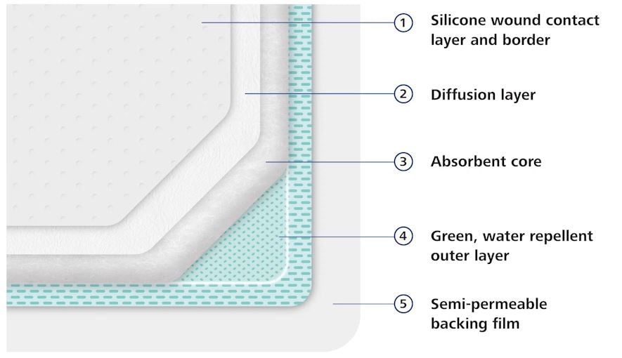 Zetuvit Plus Silicone Non-Bordered Super Absorbent Dressing 8 x 8 inch 10 per Box, Adult Unisex, White