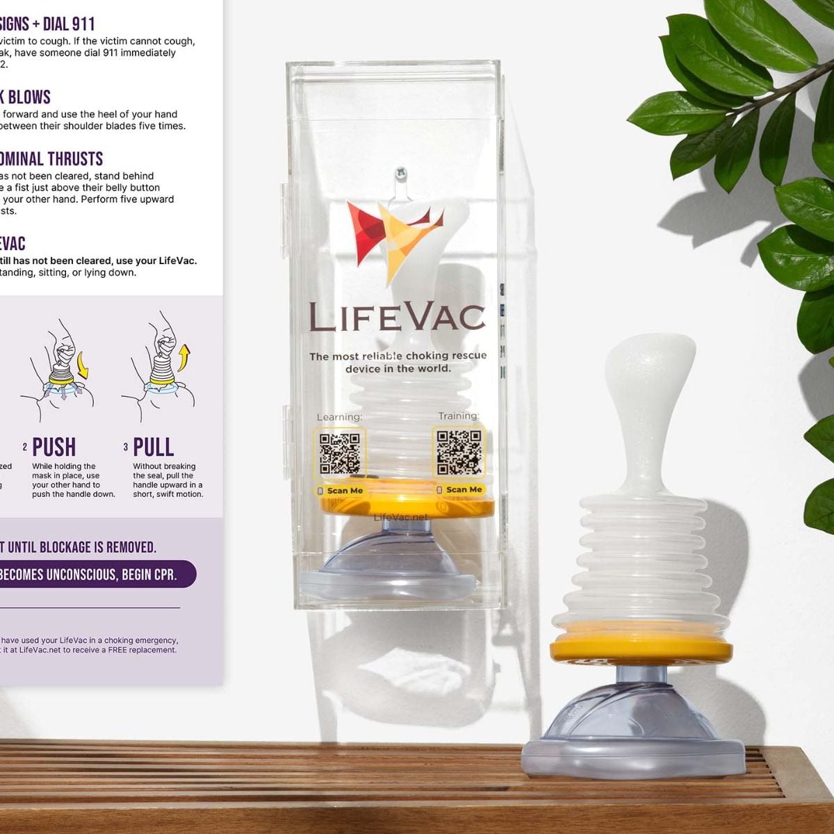 Clear Wall Mounted Case