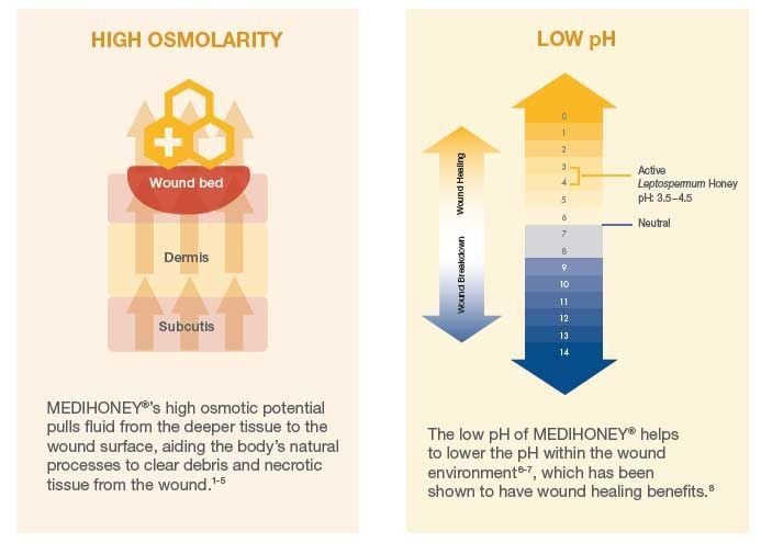 pH and Osmolarity