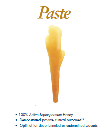 Medihoney Paste