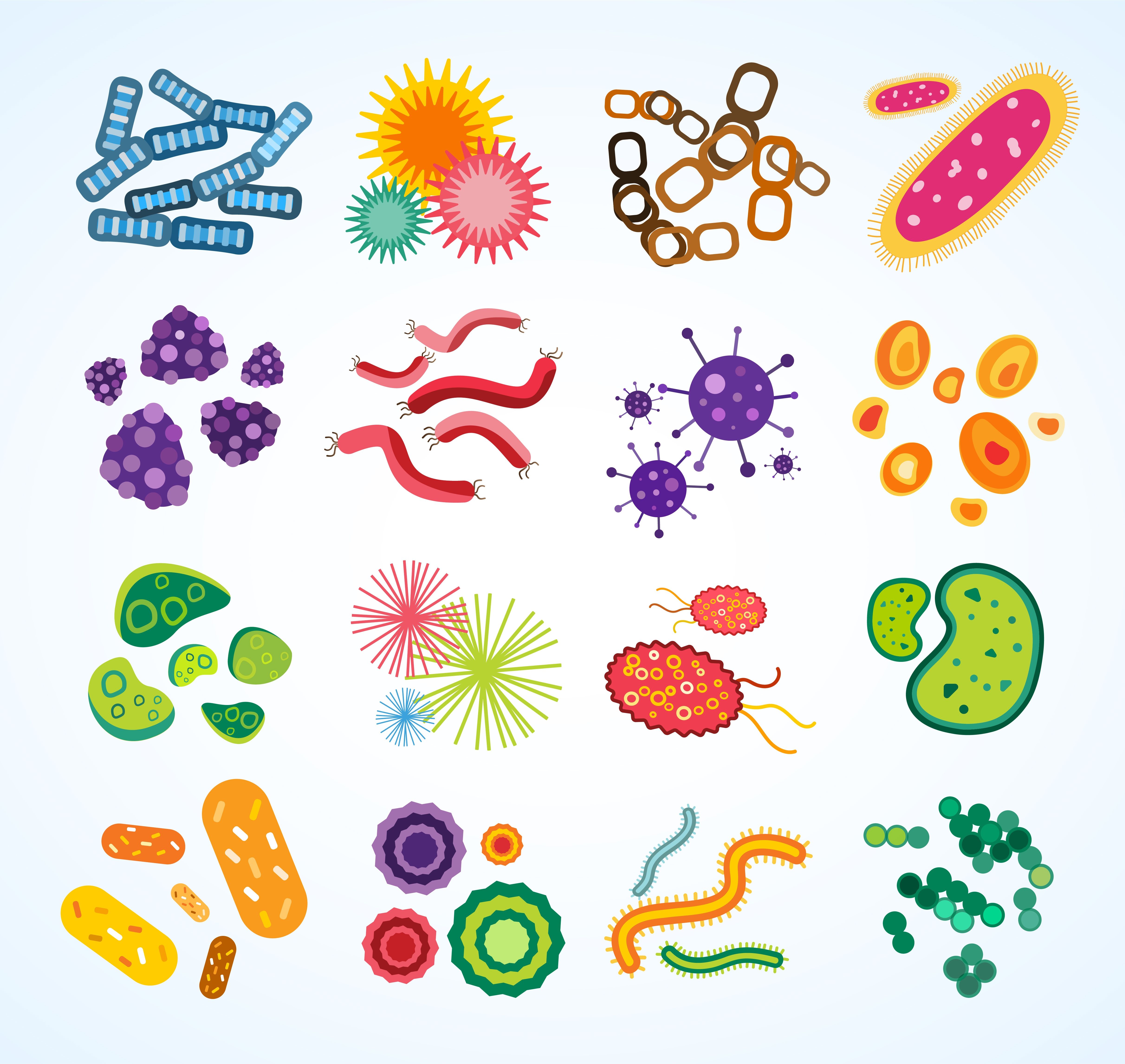 Germs