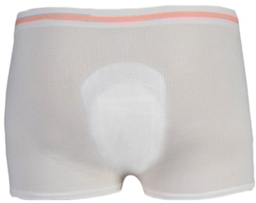 Attends Seamless Mesh Pants Back View