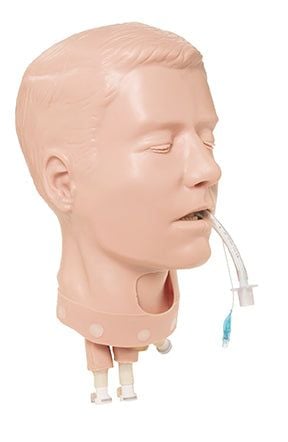 Nasco STAT Simulator Adult Deluxe Airway Management Head