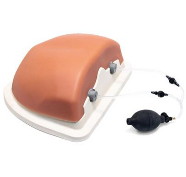 Nasco Image Guided Thoracic Spinal Injection Trainer