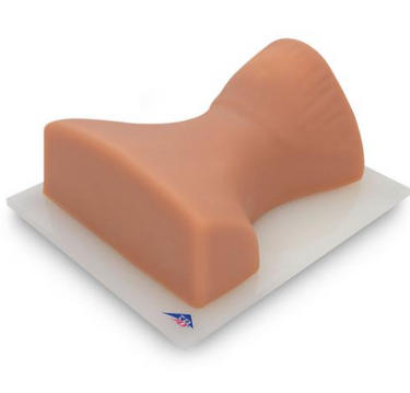 Nasco Image Guided Cervical Spinal Injection Trainer