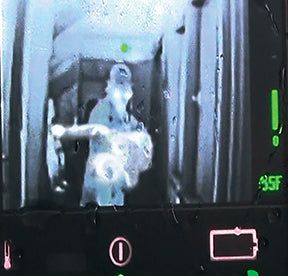 Nasco Thermal Image Randy