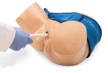 Nasco Blue Phantom's intrauterine pregnancy (IUP) endovaginal ultrasound