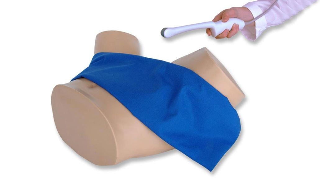 Nasco IUP and Ectopic Pregnancy Transvaginal Ultrasound Training Model