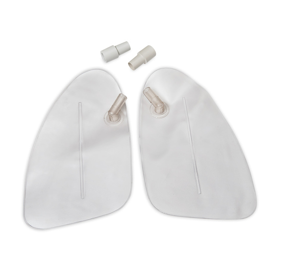 Image 2 of Nasco Life/form NG Tube & Trach Skills Simulator