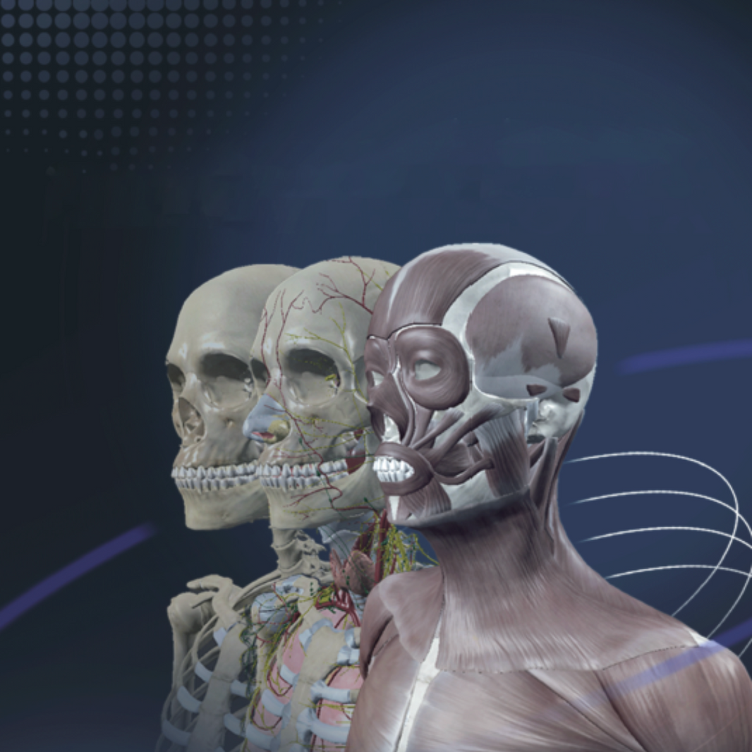 Nasco Sym Anatomy Virtual Anatomy Software
