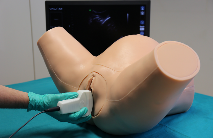 Nasco Advanced Ultrasound OBGYN Simulator