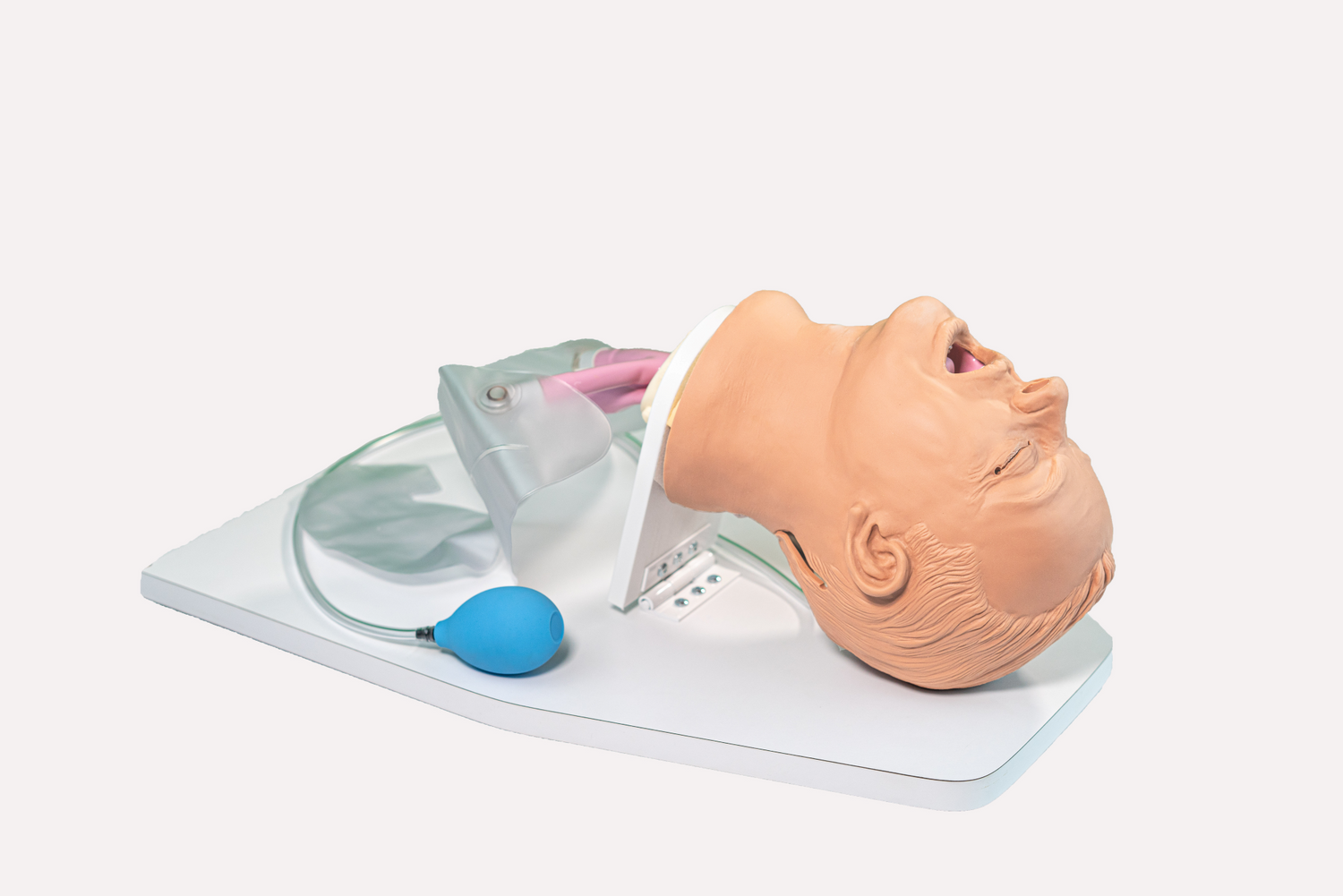 Nasco Airway Larry Trainer