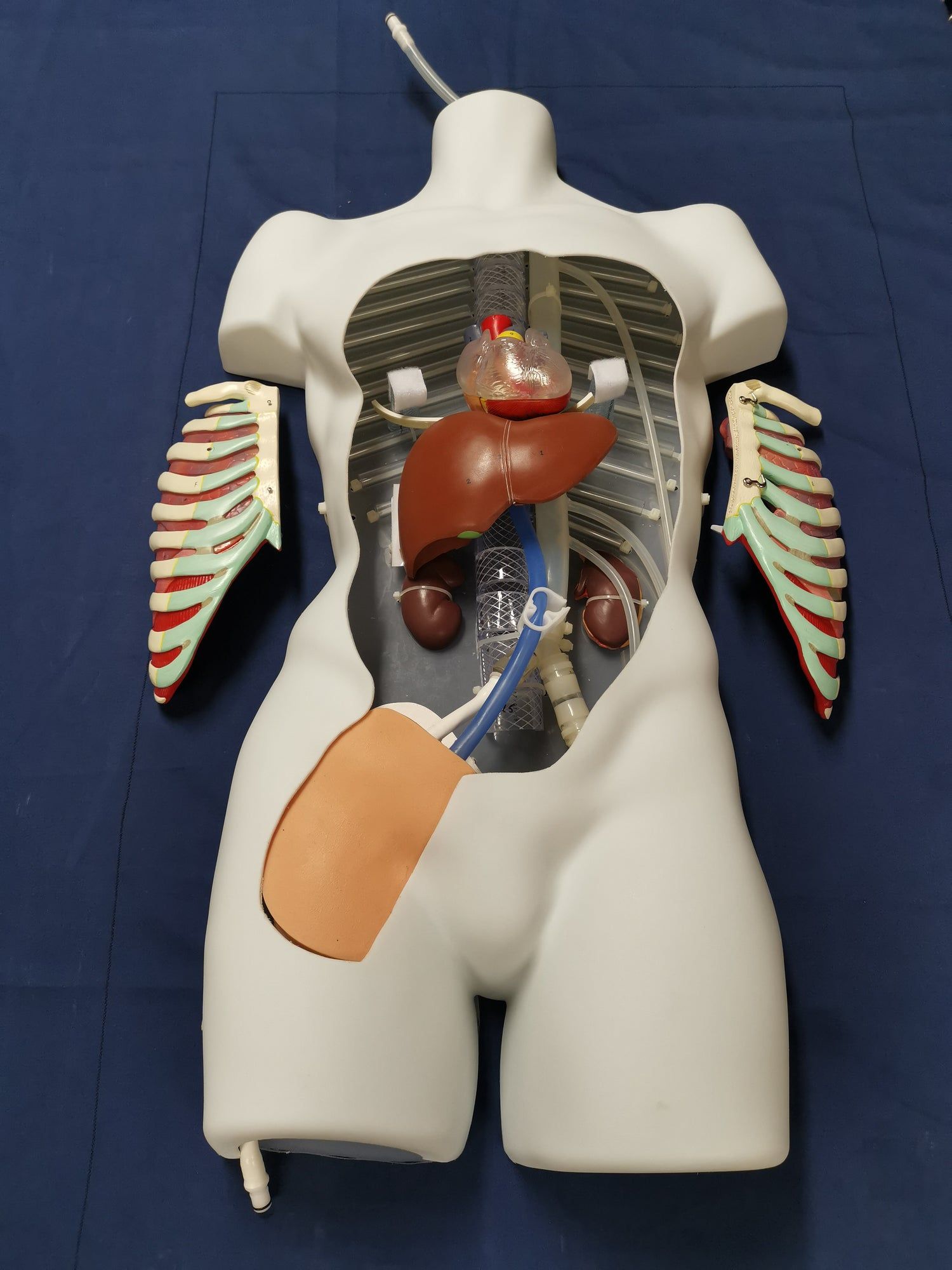 Nasco VausSim PerfusionSim