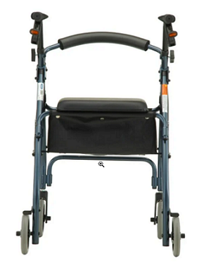 Rear View