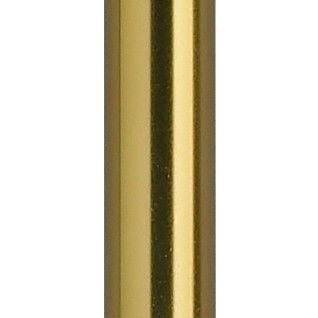 Bronze Walking Cane