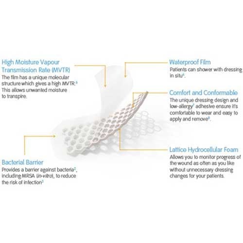 OpSite Post-Op Visible Features