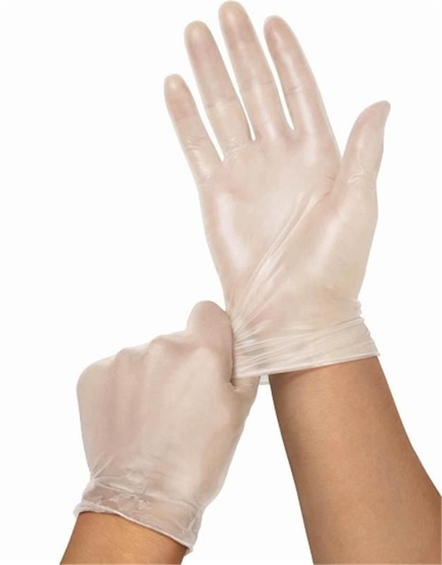 Procure Clear Vinyl Exam Gloves, Powder Free