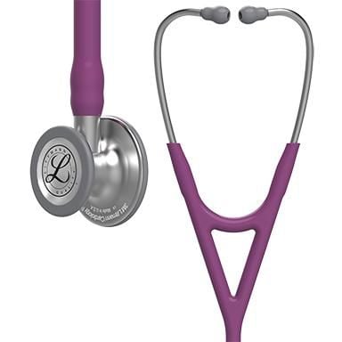Plum and Stainless Steel