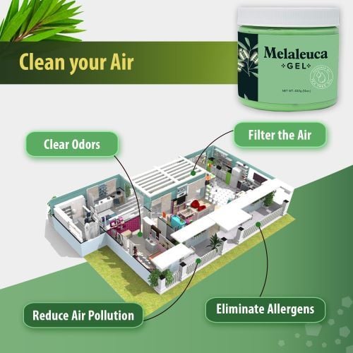 PMT's Melaleuca Gel cleans the air in indoor spaces.