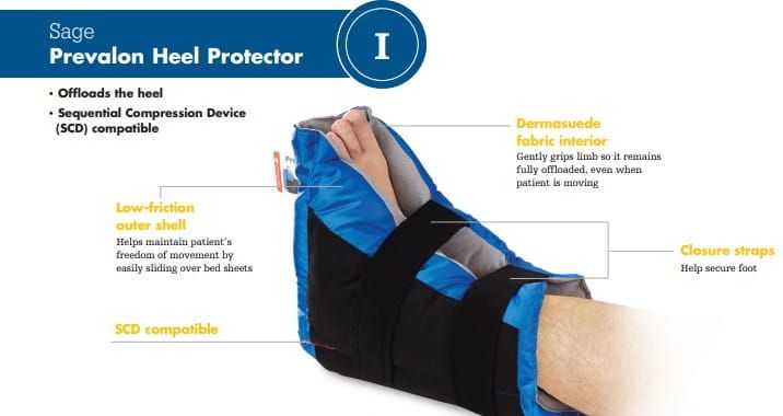Prevalon Heel Protector I Anatomy