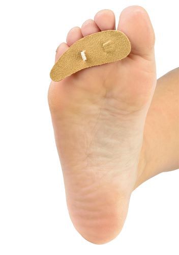 Image 4 of Silipos Deluxe Suede Hammer Toe Crest