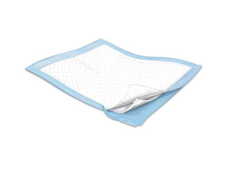 Simplicity Extra, Moderate Absorbency