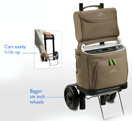 SimplyGo Features