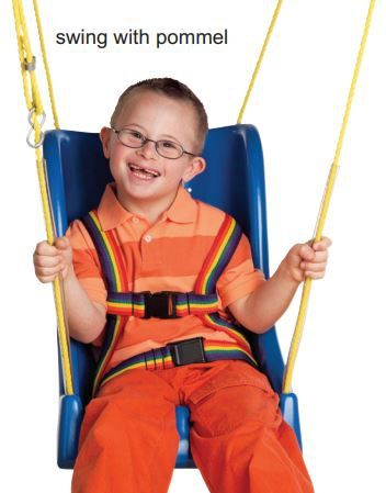 Image 5 of Skillbuilders Full Support Swing Seat with Pommel and Rope